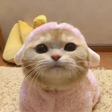 Hoàng Văn Thụ avatar